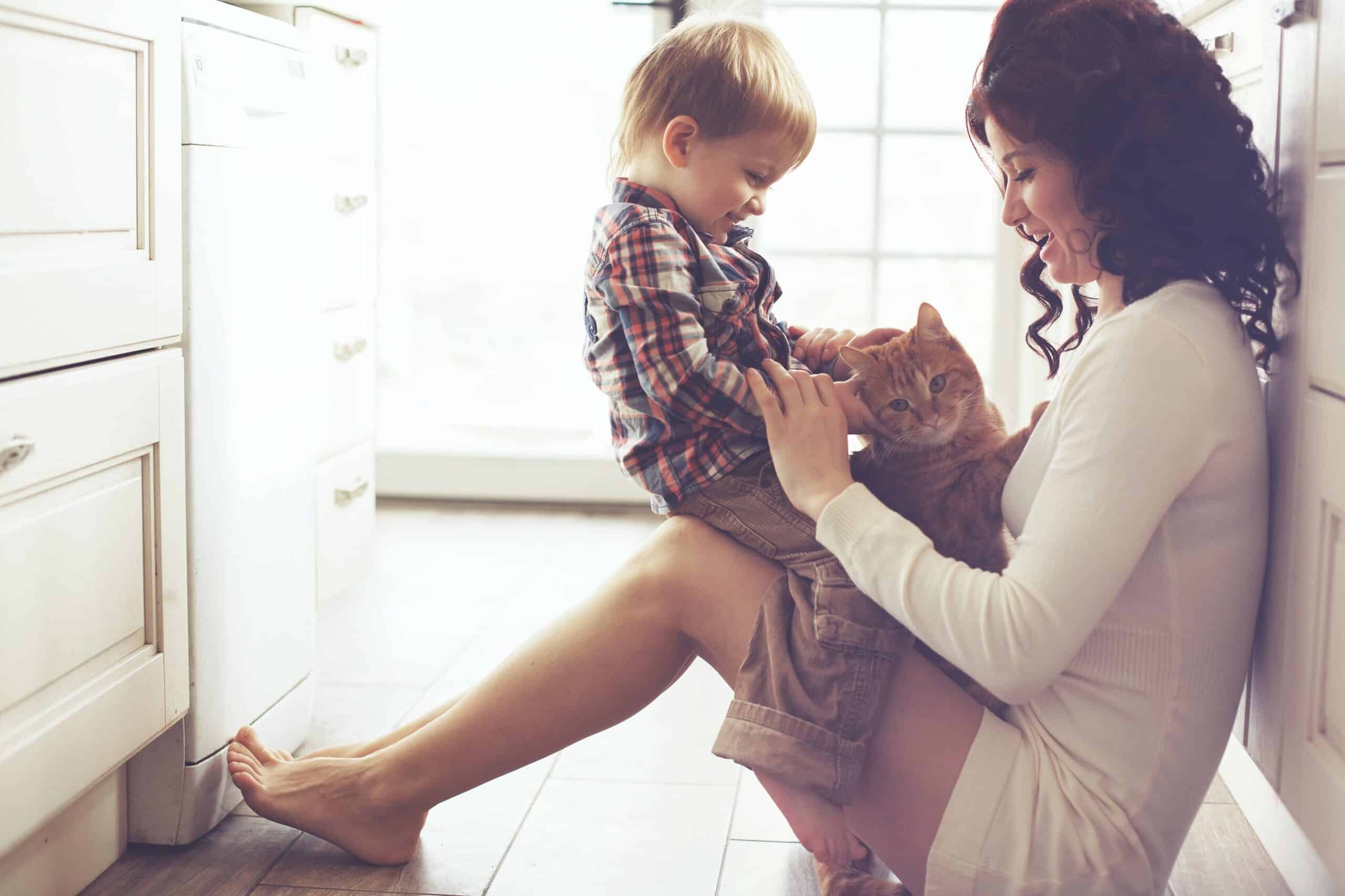 mom-kid-and-cat-desktop